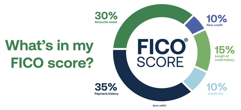 What's in my FICO score?